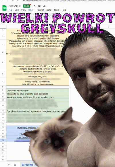 psposki - GREYSKULL OD @Kasahara REUPLOAD

https://docs.google.com/spreadsheets/d/1Qr...