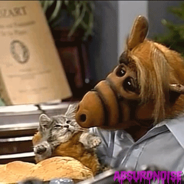 wfyokyga - Jaki ładny kiciuś.