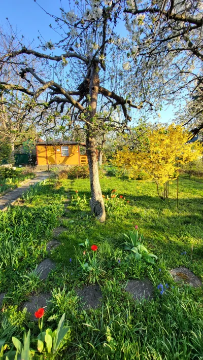 Chlopakizdzialeczek - #chlopakizdzialeczek #dziendobry