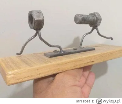 MrFrost - #heheszki #humorobrazkowy #zonabijealewolnobiega