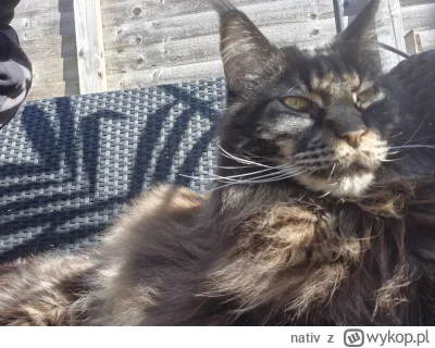 nativ - @Lujdziarski na mojego takie sztuczki nie działają.