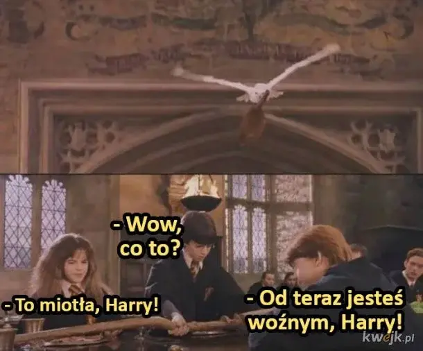 mystery_26 - #harrypotter