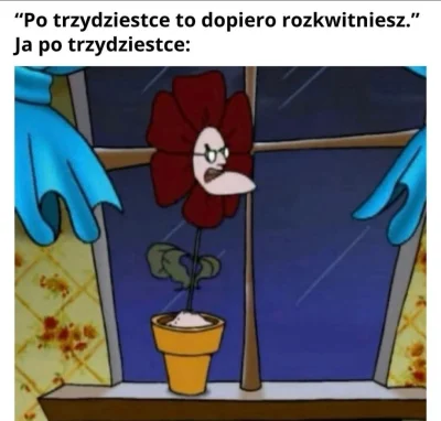 sprawek - #wykop30plus #heheszki