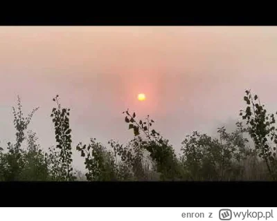 enron - Jak tu się nie zachwycać? (。◕‿‿◕。)