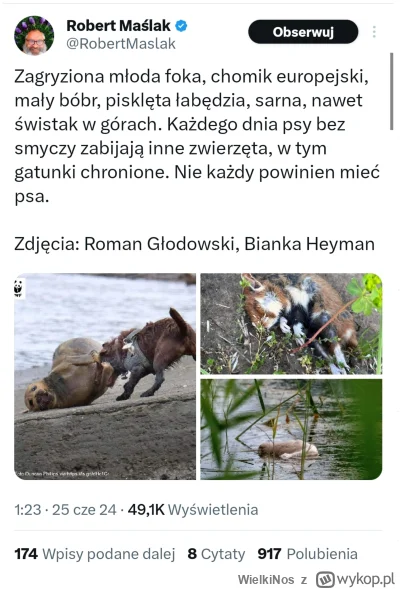 WielkiNos - >Mam nadzieję, że kiedy idą z psem do parku, to tak samo szanują to że ta...