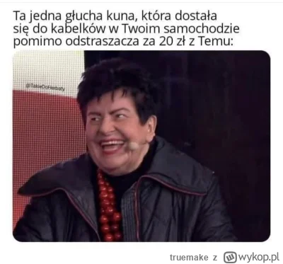 truemake - #heheszki