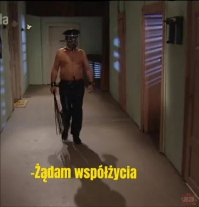 wsciekliznairl - @koneserprogresywnego_discopolo