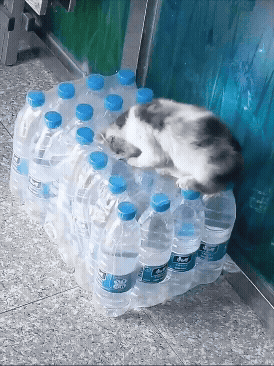 jestemtakizmeczony - @jestemtakizmeczony: