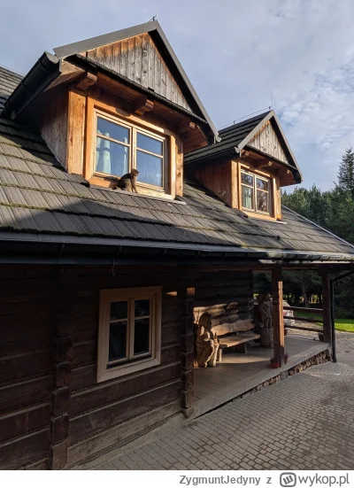 ZygmuntJedyny - Jak wygląda kot dachowiec każdy widzi. #koty #gory #mojezdjecie #week...