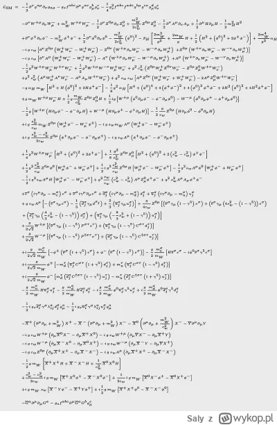 Saly - Tak proste, że można opisać tym nieskomplikowanym wzorem