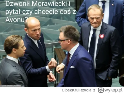 CipakKrulRzycia - #bekazpisu #sejm #polityka #heheszki #wybory #4konserwy #morawiecki