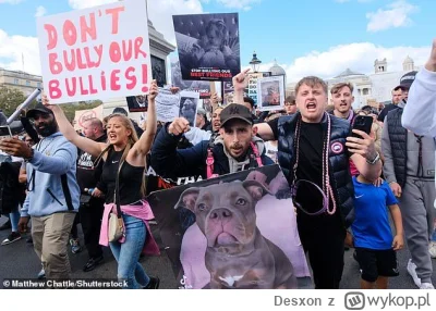 Desxon - Mówią, żeby psów nie oceniać, tylko właściciela
No to macie protest przeciwk...