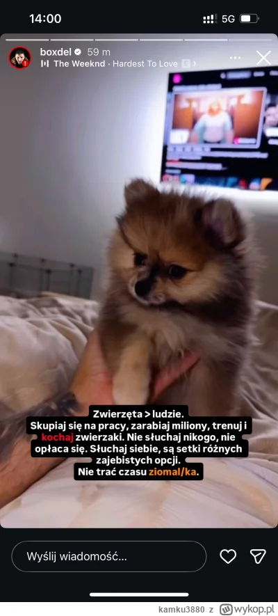 kamku3880 - #primemma wiadomo pies ci nie da rady powiedzieć że jesteś pdf i szumowin...