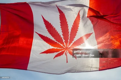 hikka-reginald-bjoernson - #hotelparadise tymczasem w alternatywnej rzeczywistości 🇨...