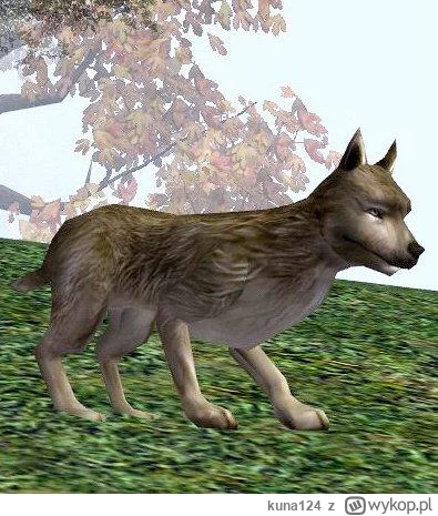 kuna124 - A jednak Josef musi patrzec co dropi z Polaka