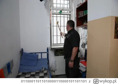 01100011011010000110000101101101 - @Idaho59: Kolega balonowy już jedzie do swojego no...