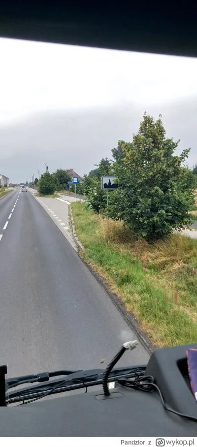 Pandzior - #polskiedrogi 
I cyk mandacik.
Z daleka prawie go nie widać