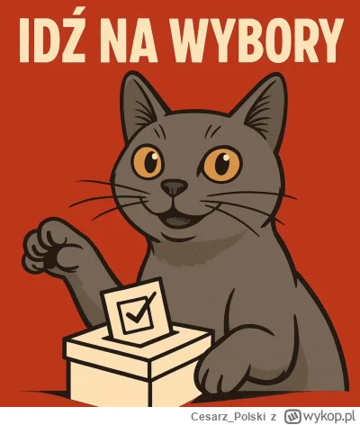 Cesarz_Polski - #wroclaw #kotekwrocek