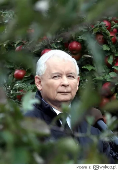 Plotyn - Wyobraźcie sobie jaki on musi być wściekły.
Zamordowali mu brata.
Zmusili po...