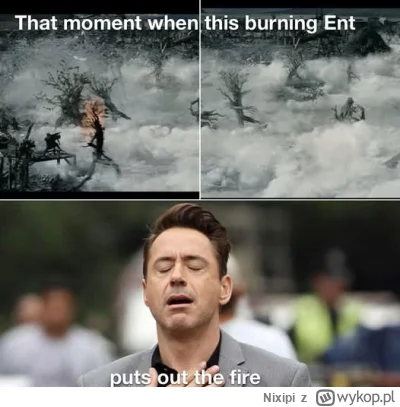 Nixipi - #wladcapierscieni