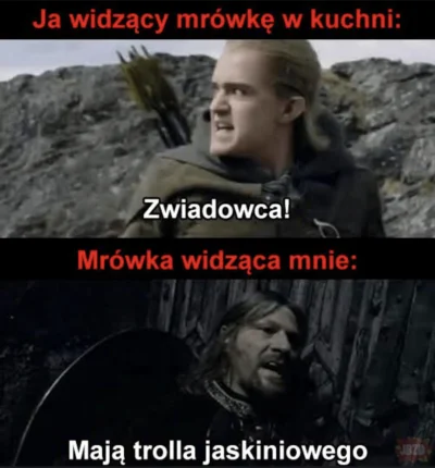 Angelika666 - #wladcapierscieni #lotr