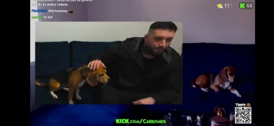 boolProptestingCheatsEnabledtrue - Ten sam pies czy inny? ( ͡º ͜ʖ͡º)
#famemma #ciswyk...