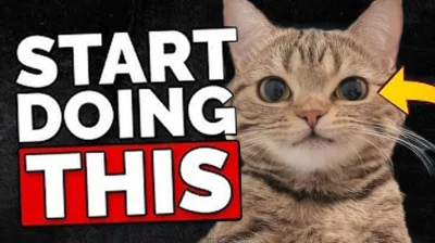 audi_quattro - #przegryw