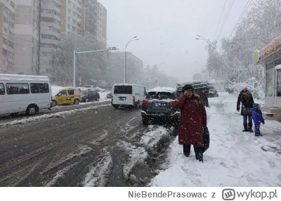NieBendePrasowac - @jmuhha: zimowe poranki w Polsce w rzeczywistości: