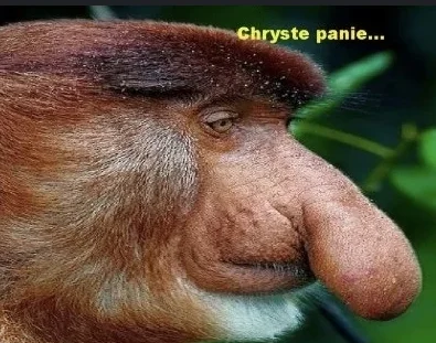 NissanZ32 - @elsajko: 
Poza tym dygnął:)