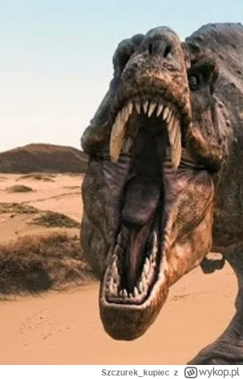 Szczurek_kupiec - #bonzo 
Hejkum z rana jak  ̶ś̶m̶i̶e̶t̶a̶n̶a̶ pies z patelni
Wiem wi...