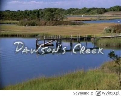 Scybulko - #kiedystobylo #wykop30plus #seriale