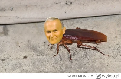 SOMEMONG - #wykopobrazapapieza #paparoach