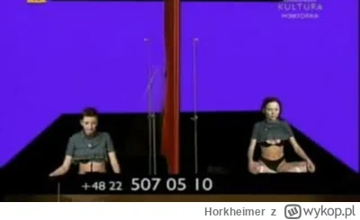 Horkheimer - #heheszki #gimbynieznajo #tvpkultura