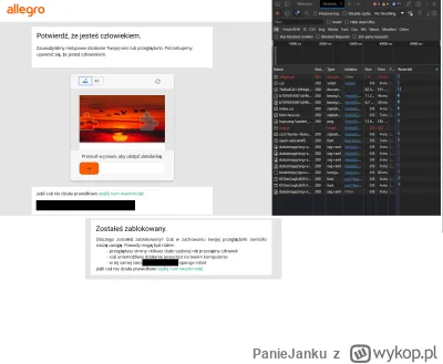 PanieJanku - Jeśli włączymy narzędzia programistyczne w przeglądarce to allegro uzna ...