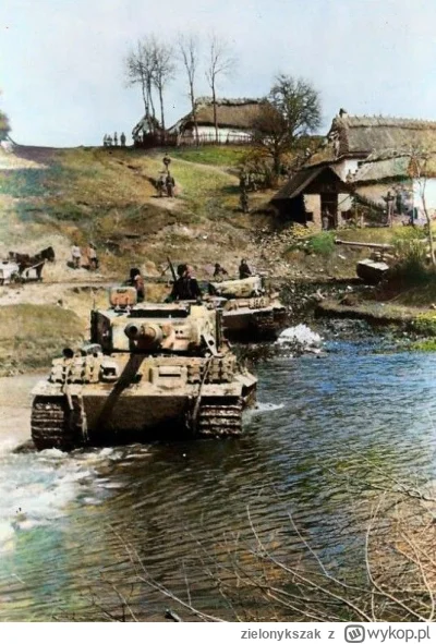 zielonykszak - ale ta foteczka jest cool