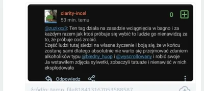 Miteora - #przegryw minal rok i sam sie nim stal