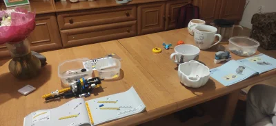 Fishuur - Układamy sobie klocki z kobitkom

#lego