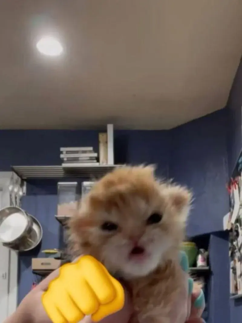 RitmoXL - #f1 RUSSELL CHO NA SOLO 

SPOILER