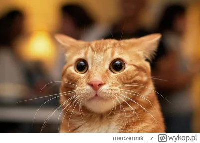 meczennik_ - #przegryw ja w robocie: