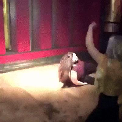 Drom - Maszyny, które osobiście uważam za ciekawe, a które mogą niektórym nie być zna...