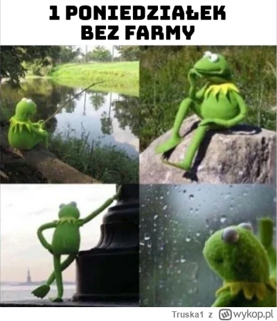 Truska1 - #farma Czołem Farmerzy i ... A nie, czekaj.