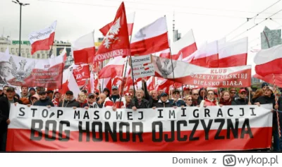 Dominek - Jak ja uwielbiam kiedy prawicowe partie krzyczą na temat tego jak oni nie b...