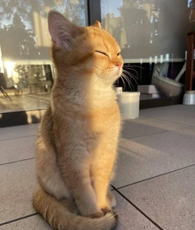 skrogg - Za oknami świta, widać, że rozkwita.