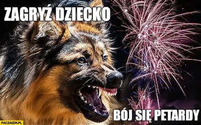 Manfakk - #psy #psiarze #sylwester #fajerwerki