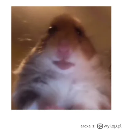 arcxa - @okoboji: baba typu