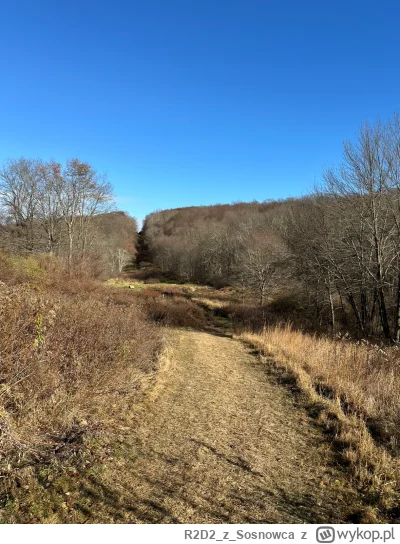 R2D2zSosnowca - @R2D2zSosnowca ogólnie to fajnie się chodzi po tych terenach dopóki d...