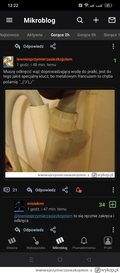 lewniesprzymierzasiezkojotem - Jestem w gorących, mamo pozdrawiam(｡◕‿‿◕｡)