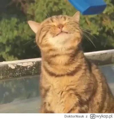 DoktorNauk - Jeszcze niedawno było tak... I komu to przeszkadzało? ehhh
#przegryw #la...