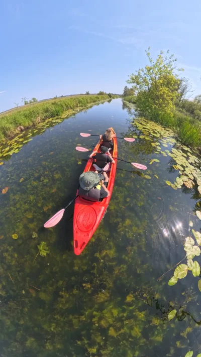 6poziomprokrastynacji - #6poziomraka, cala historia.

Elo,
Wczoraj kajaczki, a dzisia...
