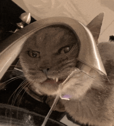 wfyokyga - Napajam się juz